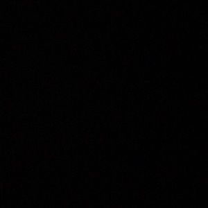 Meet your Posher, Leon